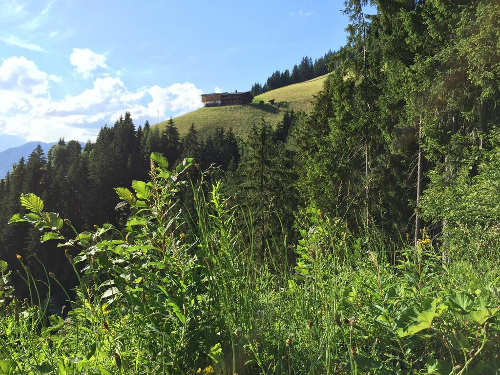 Das Alpbach Juwel Exteriér fotografie